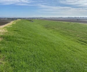 Natural Road Construction