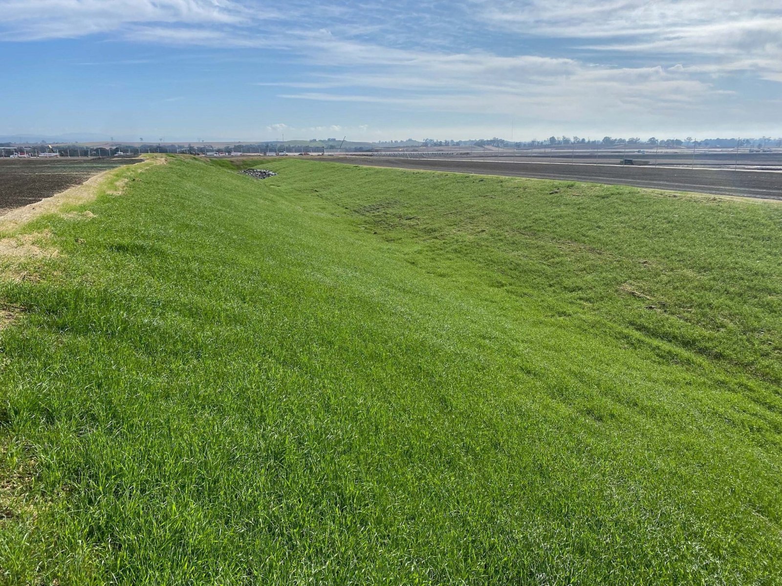 Revegetation