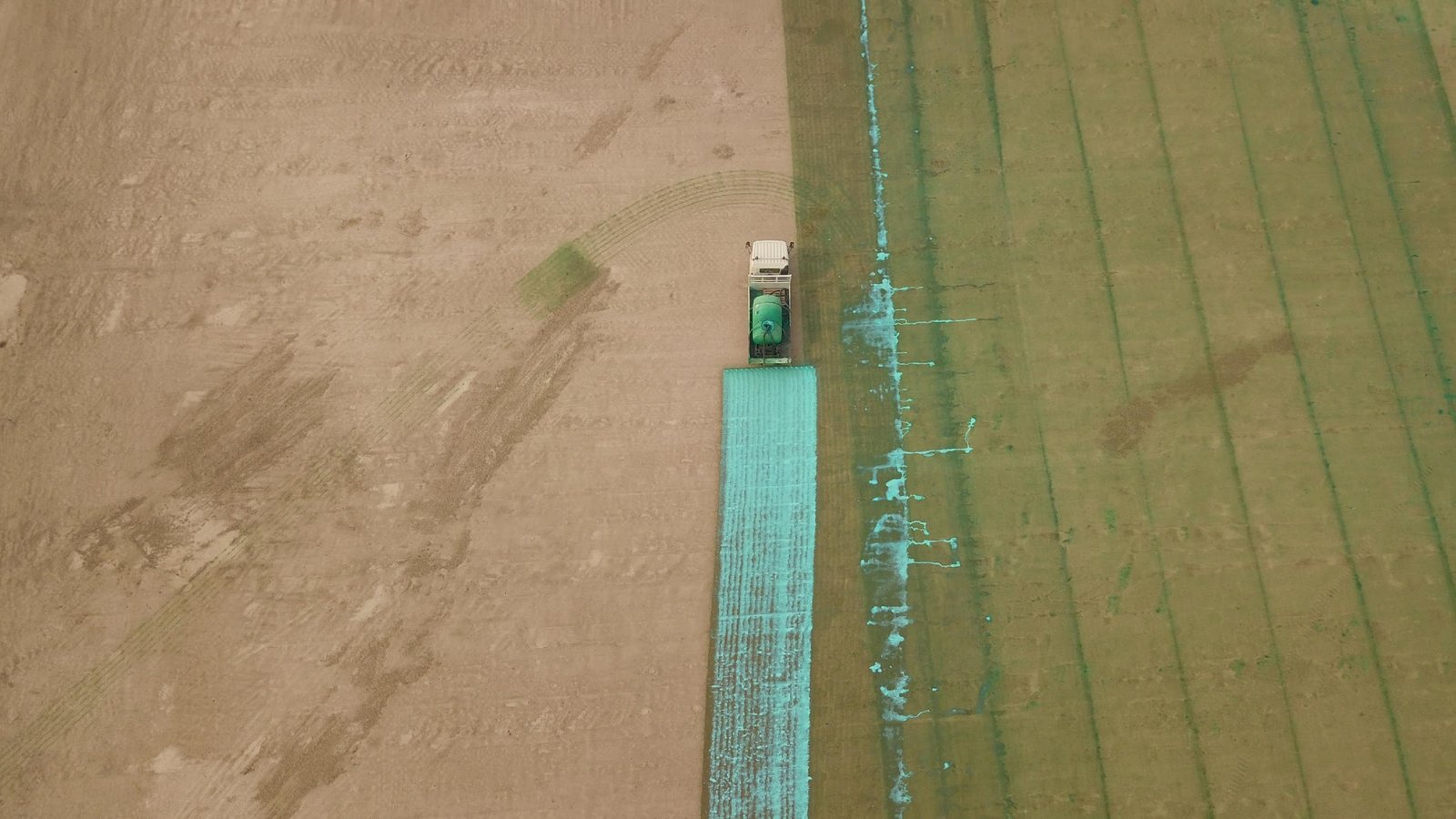 Vital Bon-Matt S-500