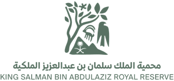King Salman Bin Abdulaziz Royal Reserve